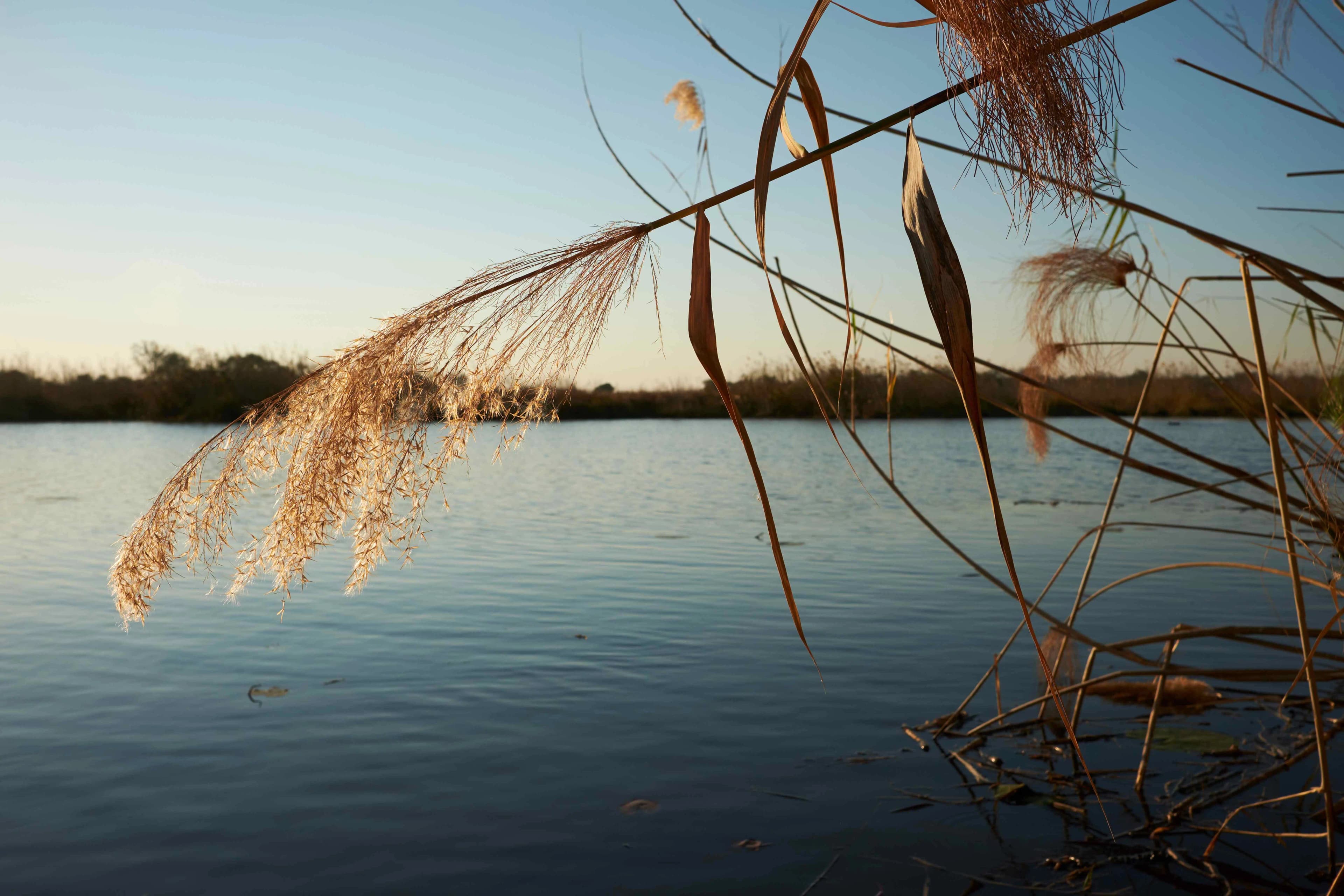 Kwando River at Camp Kwando