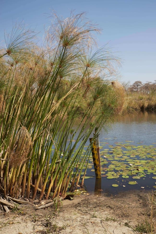 Night Deck with Lanterns