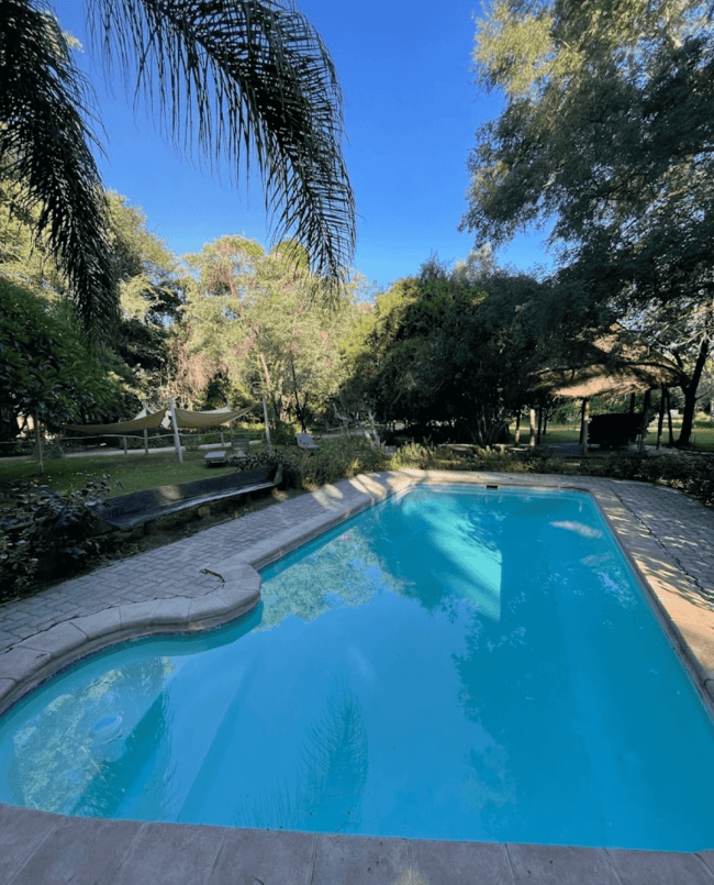 Swimming Pool with Palm Trees