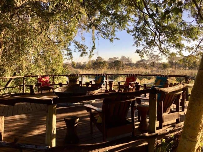 Colorful Terrace under Trees